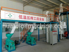 cold pressed walnut oil extraction machine